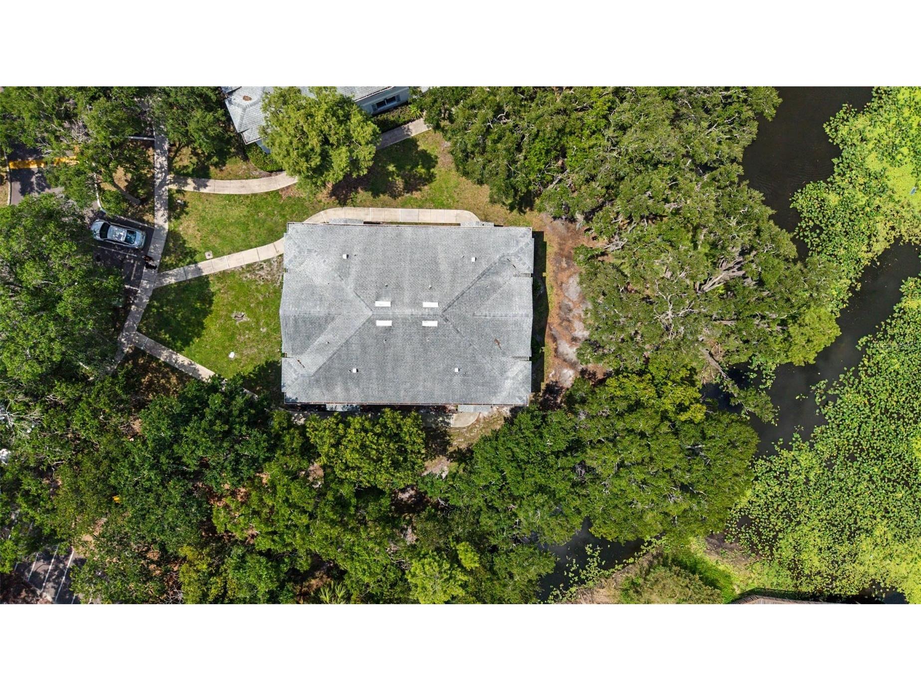 7434 E Bank Drive Tampa FL 33617 - HILLSBOROUGH RIVER TB8518948 image30