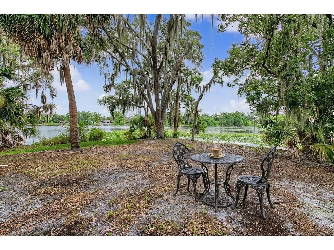 7434 E Bank Drive Tampa FL 33617 - HILLSBOROUGH RIVER TB8518948 image39