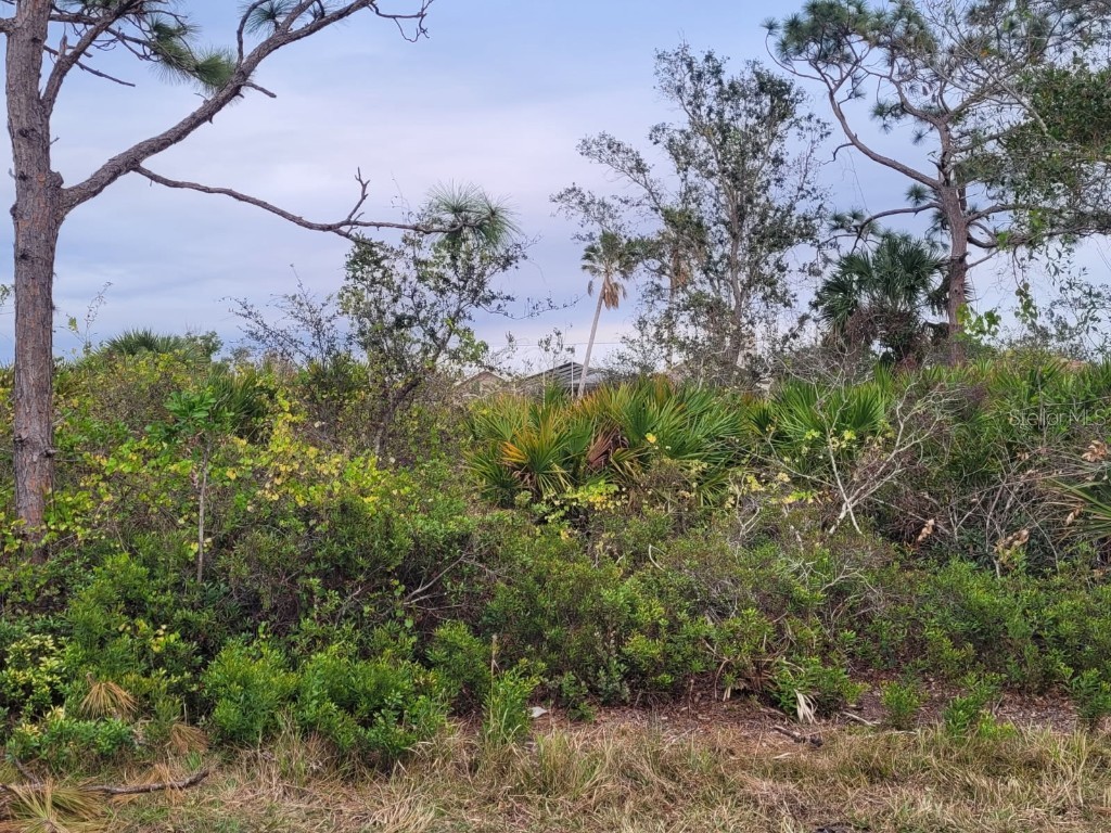 7434 Grand Concourse Street Englewood FL 34224 D6140068 image1