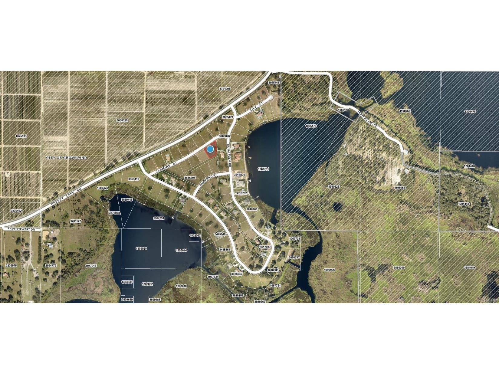 7434 Jasmine Street Groveland FL 34736 G5103152 image8