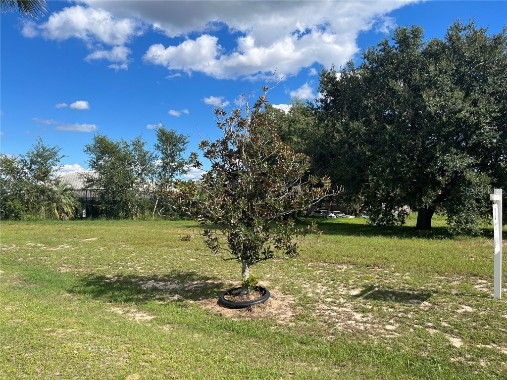 7434 Jasmine Street Groveland FL 34736 G5103152 image9