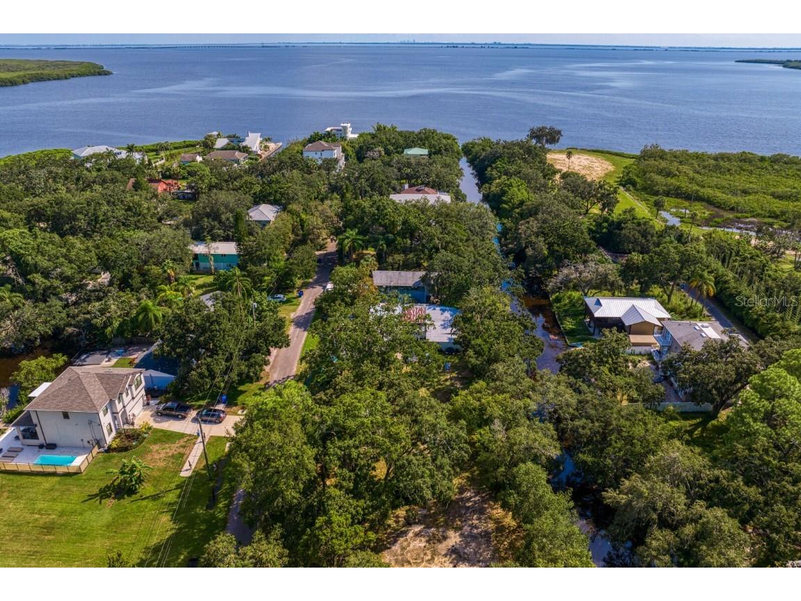 7434 Seagull Way Tampa FL 33635 TB8304684 image1