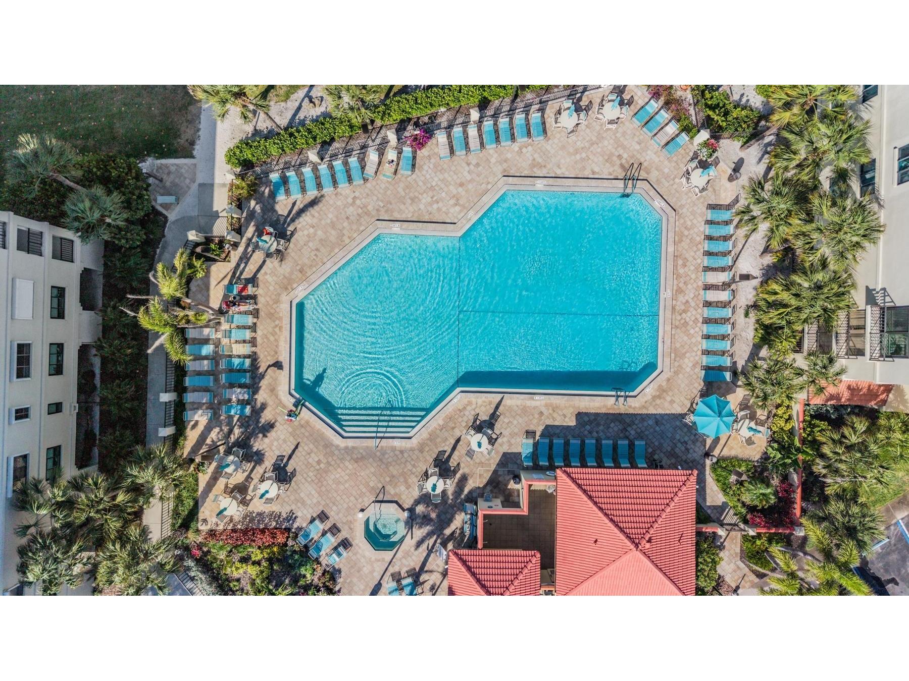 7435 Bayshore Drive #303 Treasure Island FL 33706 TB8501515 image38