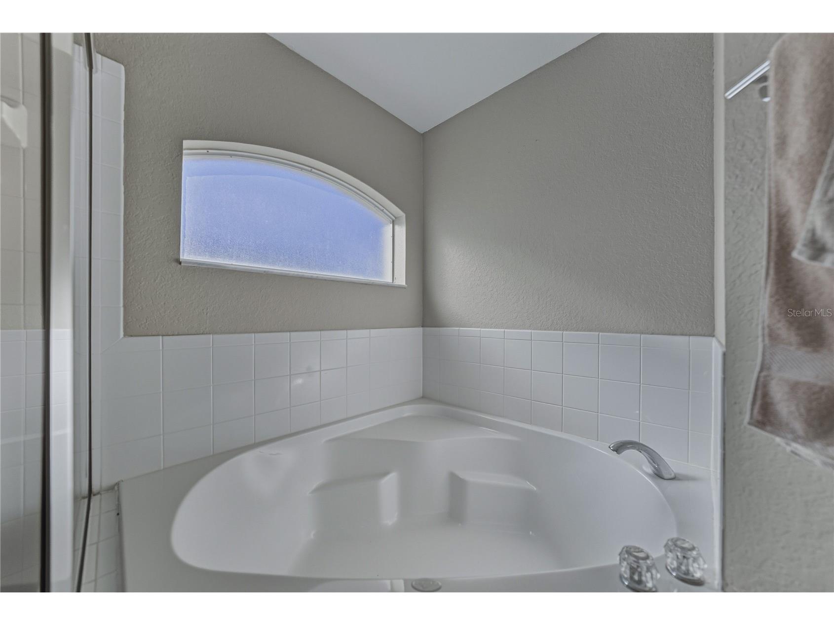 7435 Loblolly Avenue Lakeland FL 33810 L4958407 image30