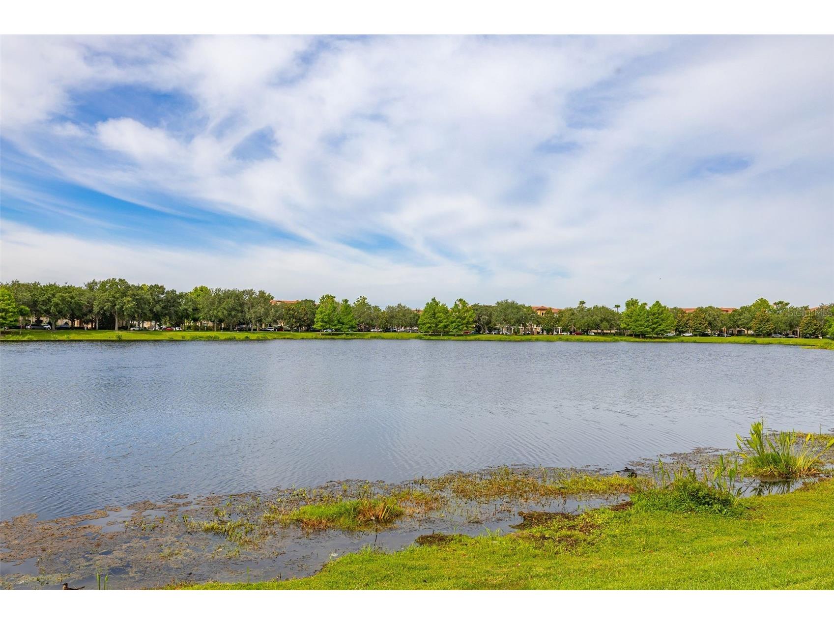 7435 Ripplepointe Way Windermere FL 34786 S5154370 image57