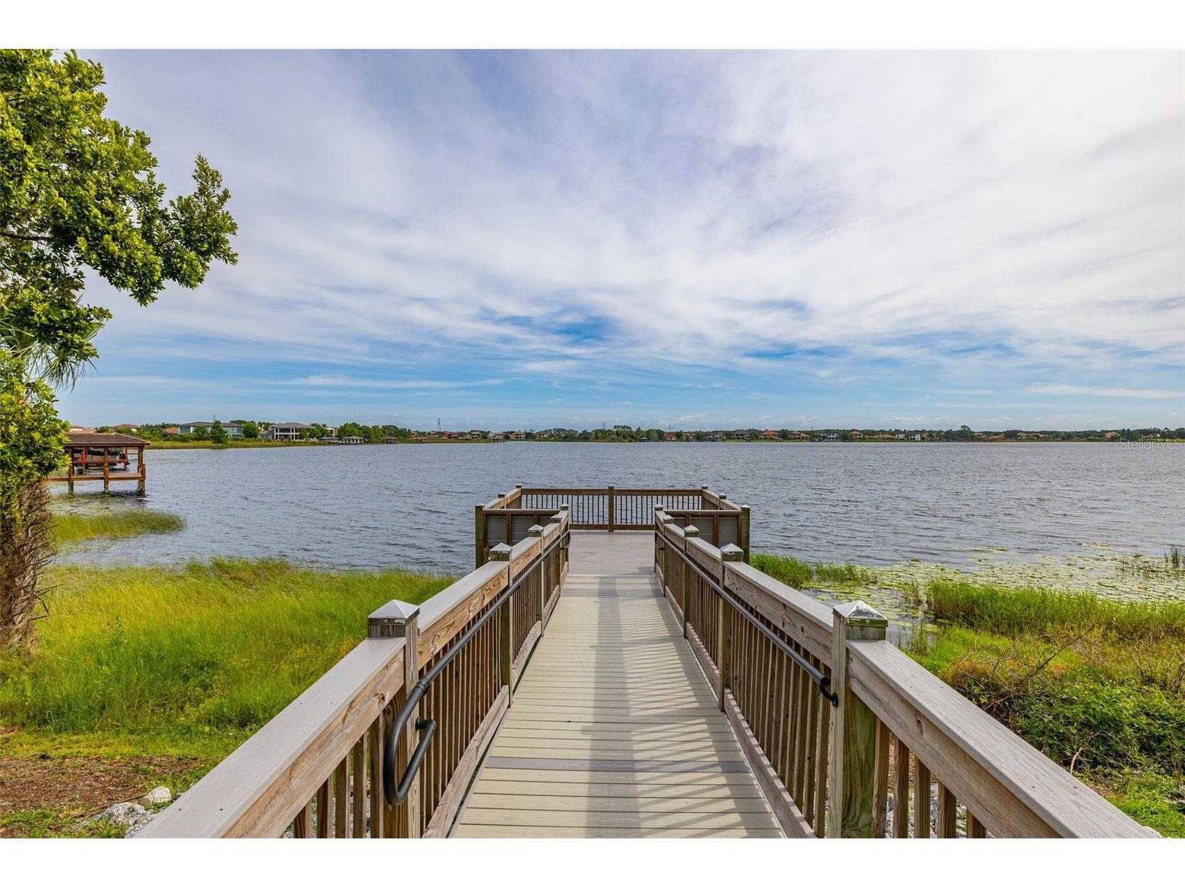 7435 Ripplepointe Way Windermere FL 34786 S5154370 image61