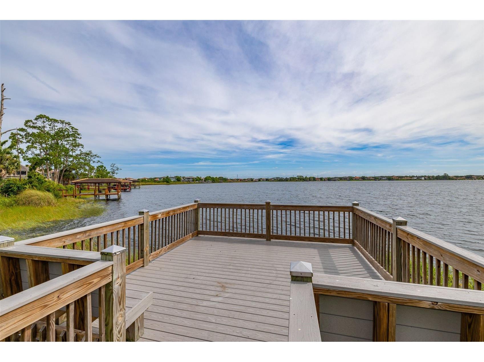 7435 Ripplepointe Way Windermere FL 34786 S5154370 image62