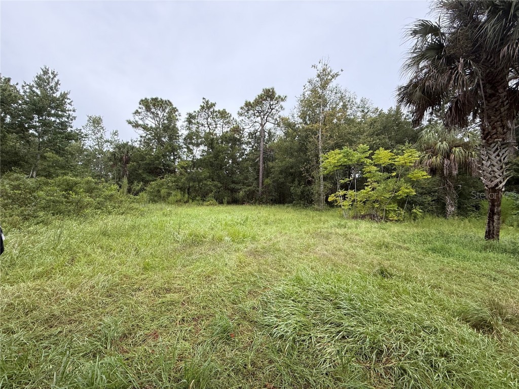 7435 W Lincoln Lane Homosassa FL 34448 G5082700 image1