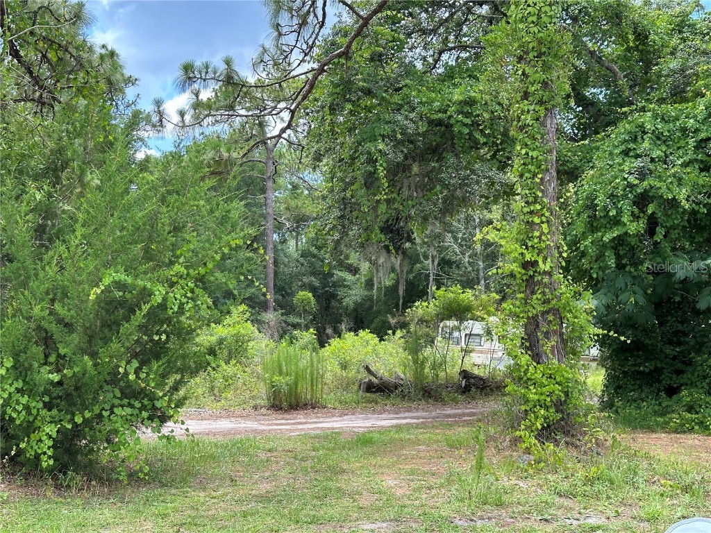 7435 W Lincoln Lane Homosassa FL 34448 G5082700 image10