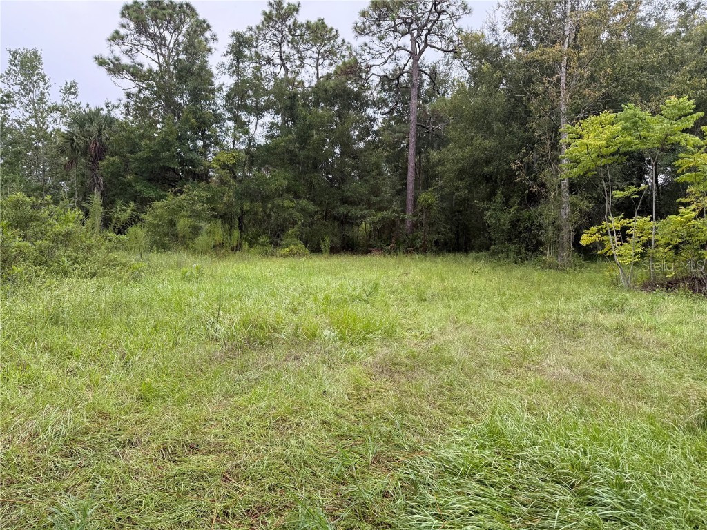 7435 W Lincoln Lane Homosassa FL 34448 G5082700 image2