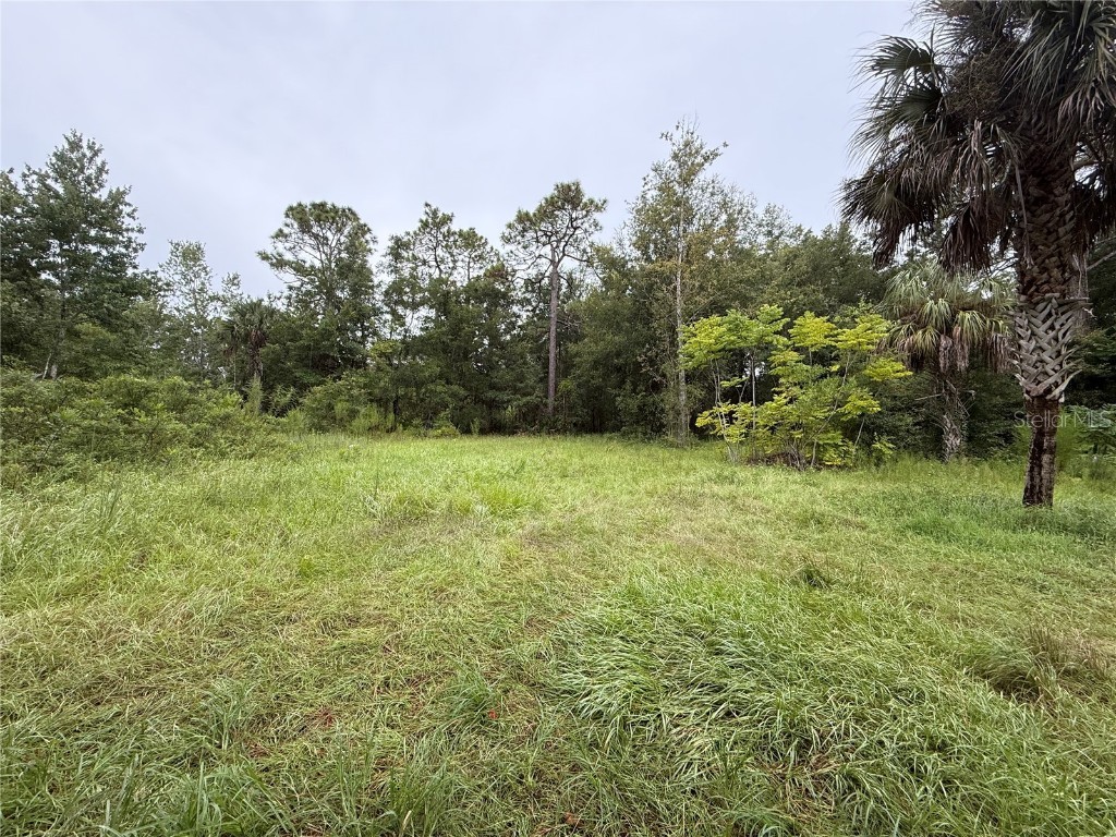 7435 W Lincoln Lane Homosassa FL 34448 G5082700 image3