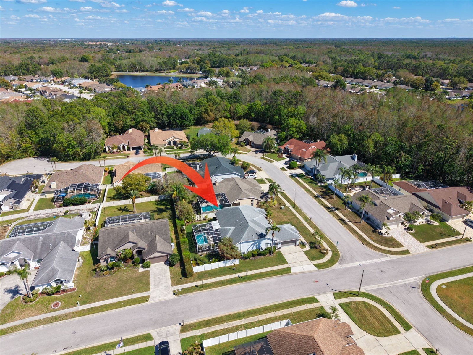 7437 Cheltnam Court New Port Richey FL 34655 TB8486157 image50