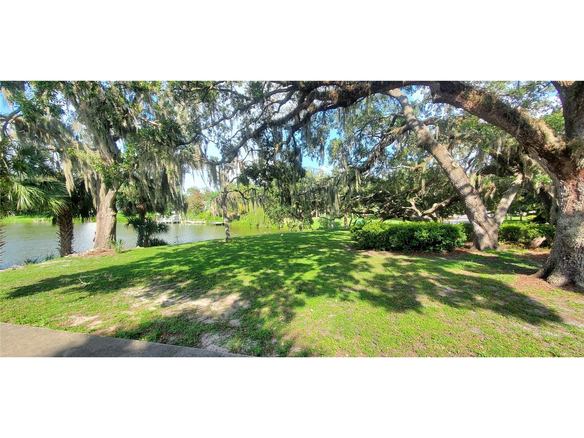 7438 Lake Forest Circle Port Richey FL 34668 TB8408149 image13