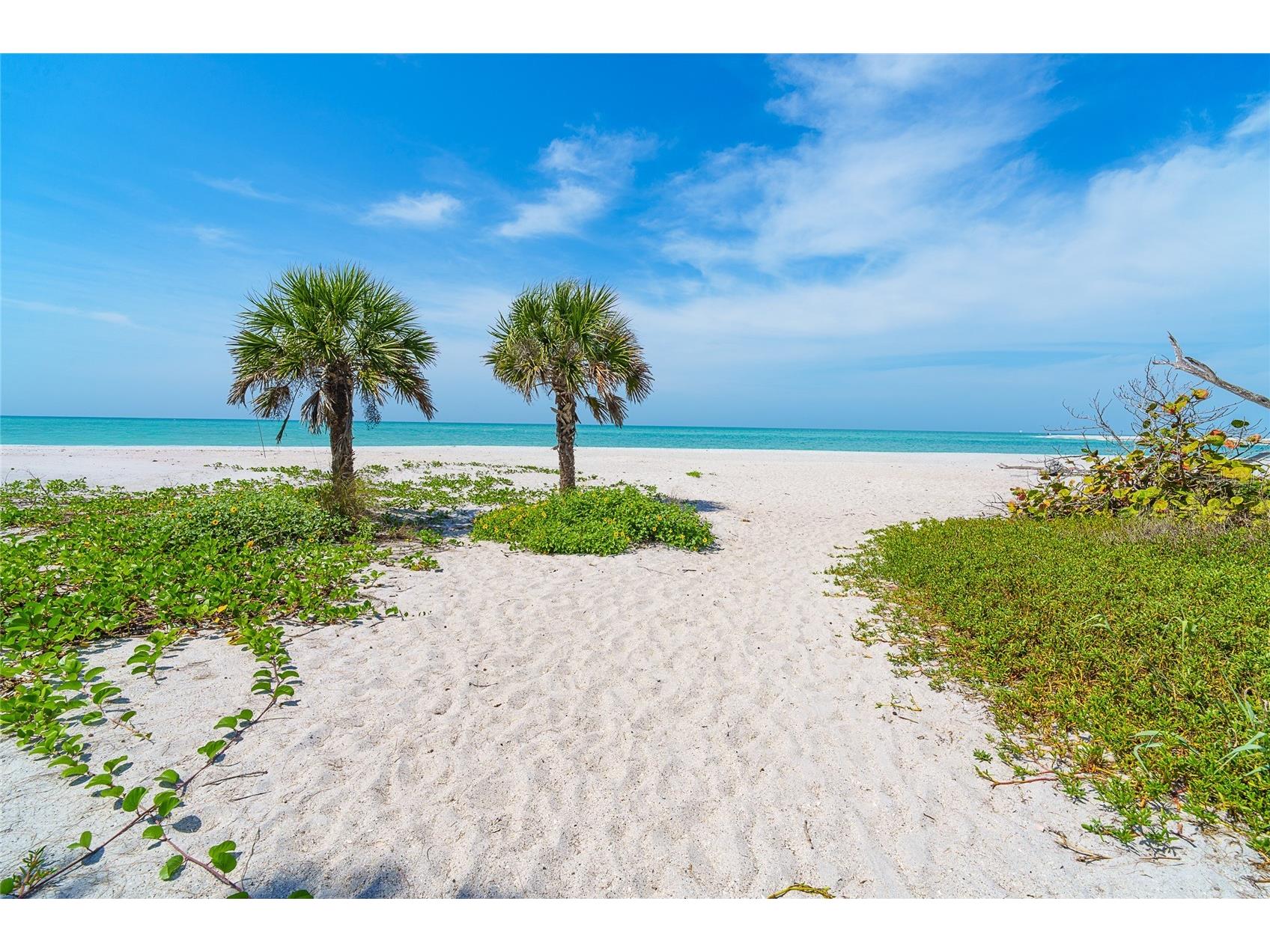 7438 Palm Island Drive #3721 Placida FL 33946 D6146740 image24