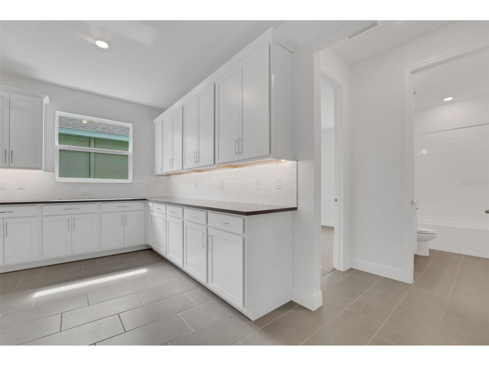 7438 Sea Manatee Street Parrish FL 34219 - SEAIRE LAGOON G5109776 image21