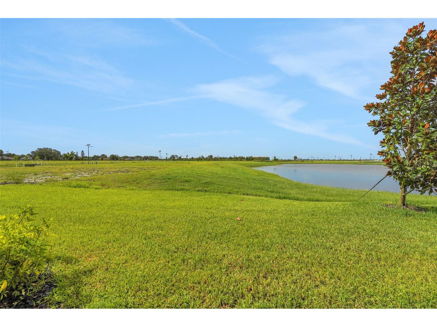7438 Sea Manatee Street Parrish FL 34219 - SEAIRE LAGOON G5109776 image45