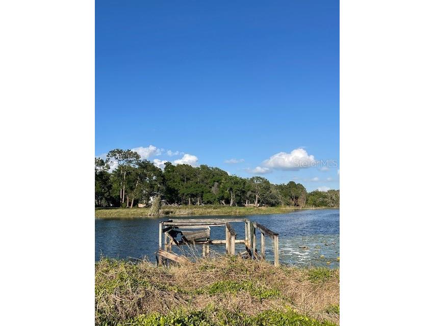 7439 Mott Avenue Orlando FL 32810 - LOCKHART O6396480 image37