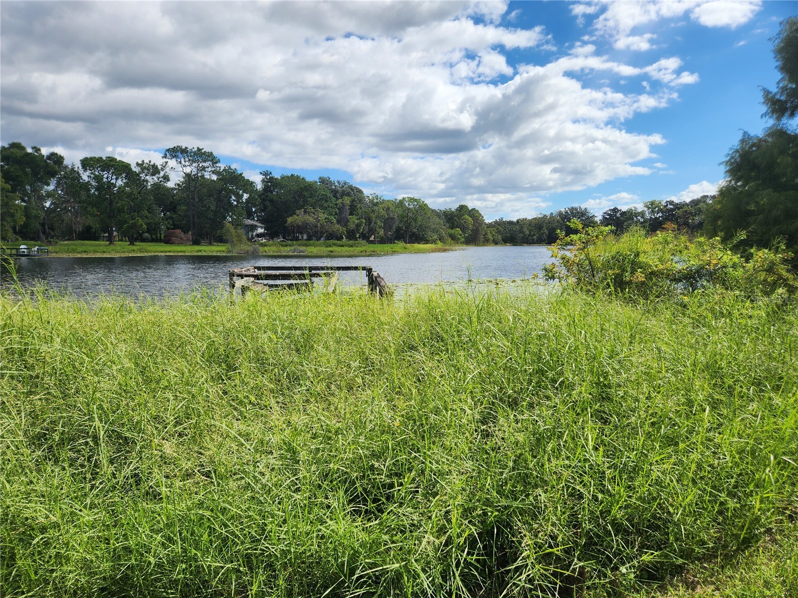 7439 Mott Avenue Orlando FL 32810 - LOCKHART O6396480 image51