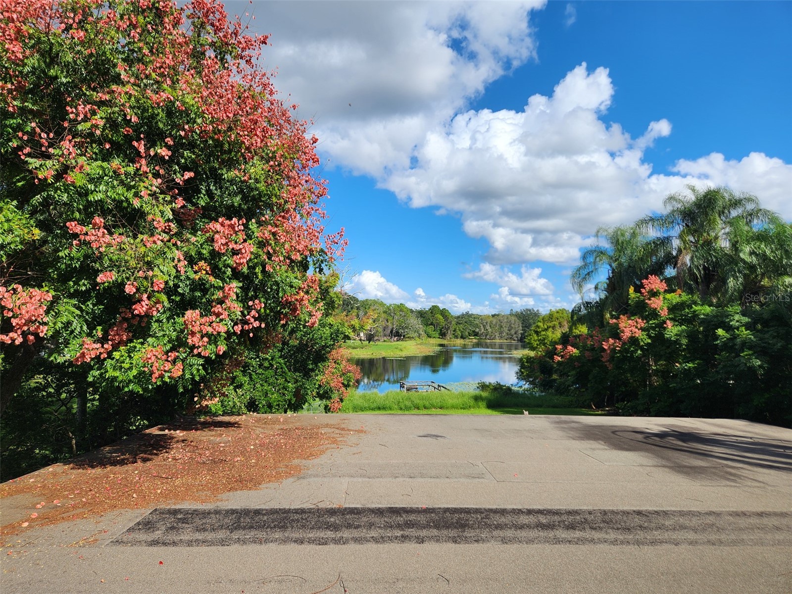 7439 Mott Avenue Orlando FL 32810 - LOCKHART O6396480 image54