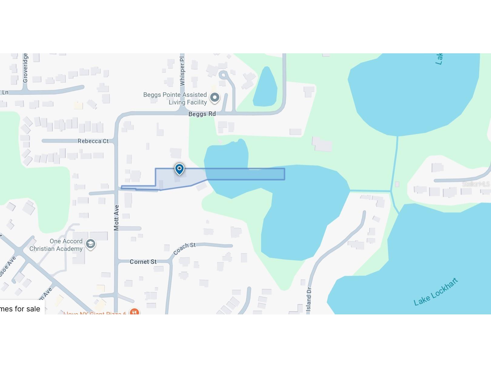 7439 Mott Avenue Orlando FL 32810 - LOCKHART O6396480 image7