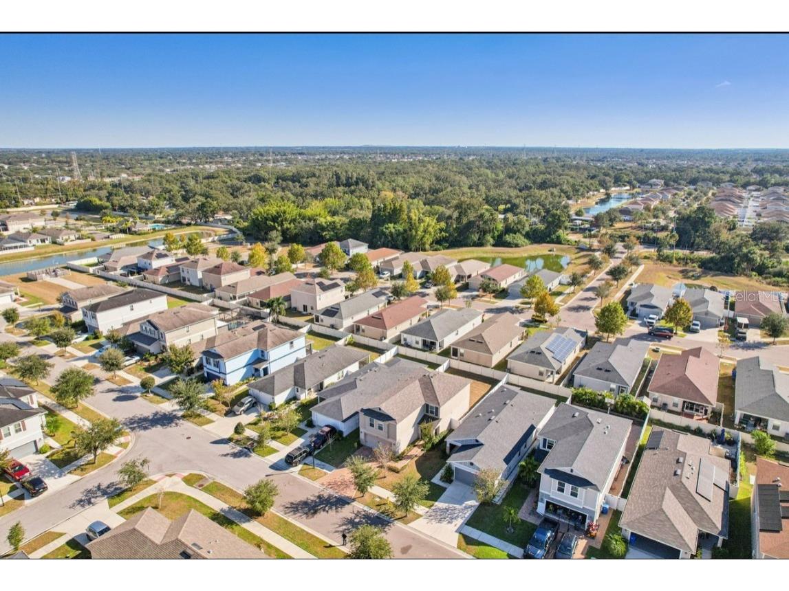 7439 Northern Lights Drive Gibsonton FL 33534 TB8458042 image45