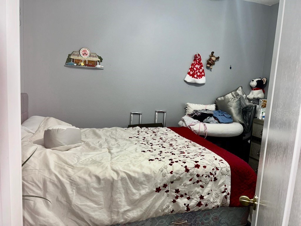 7439 Surrey Pines Drive Apollo Beach FL 33572 TB8446661 image10