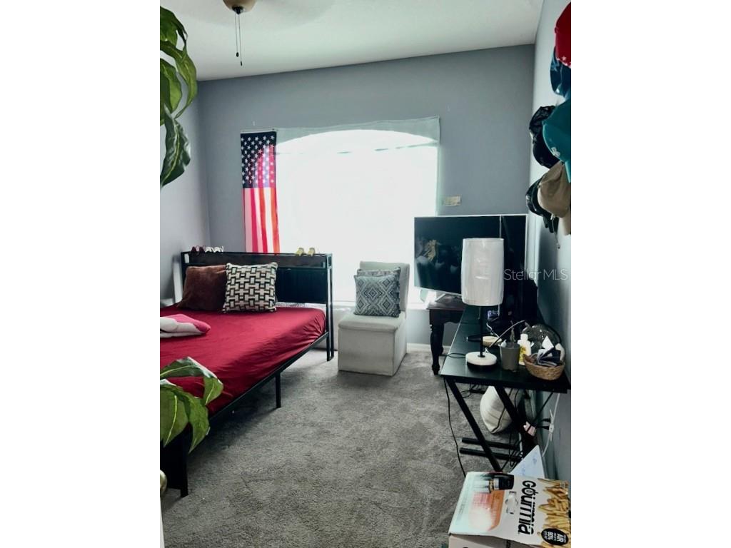 7439 Surrey Pines Drive Apollo Beach FL 33572 TB8446661 image9