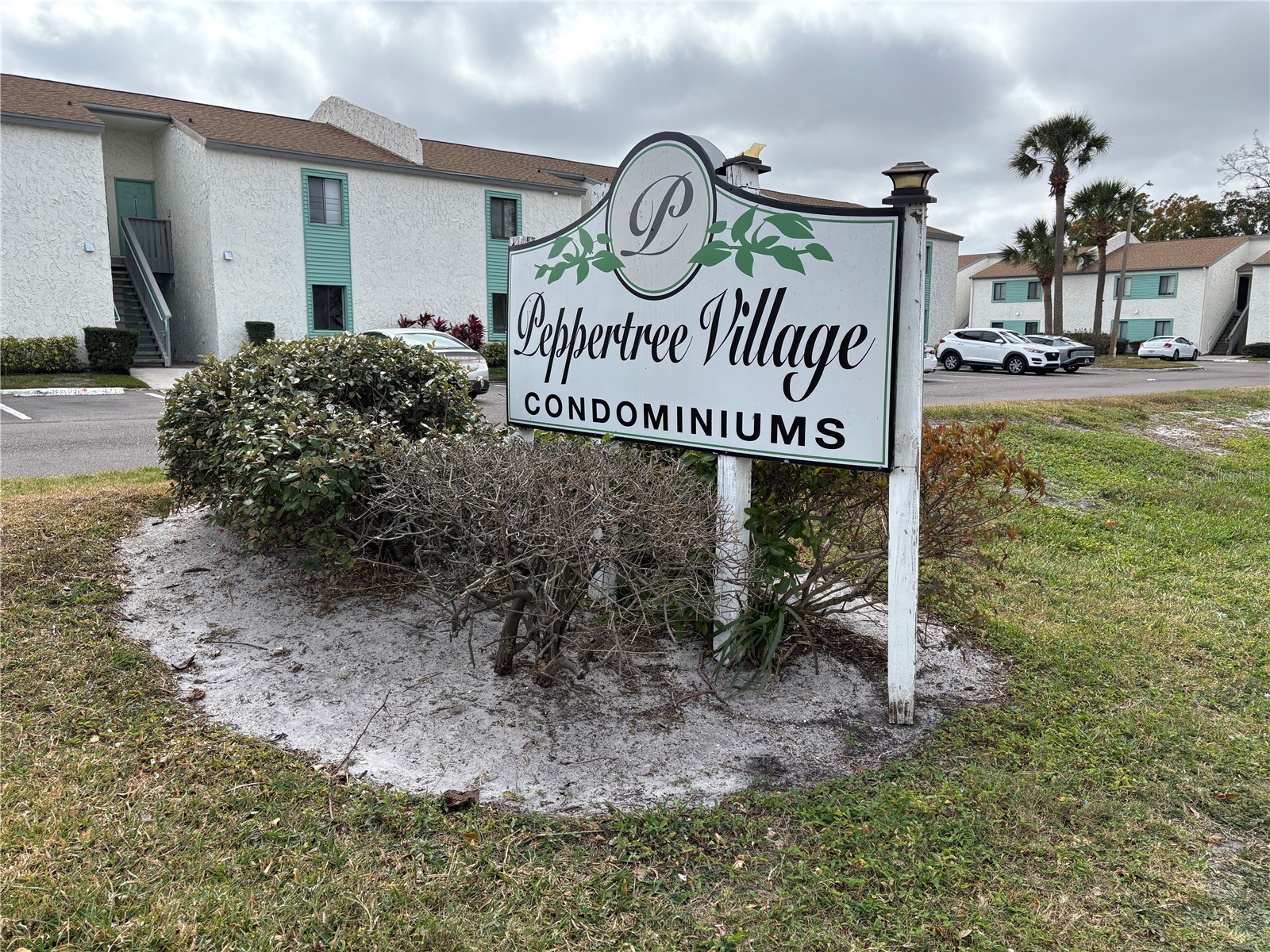 744 116th Avenue N #1901 Saint Petersburg FL 33716 TB8468382 image28
