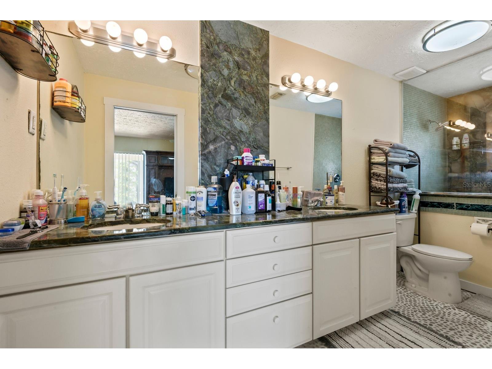 744 Flamingo Drive Apollo Beach FL 33572 TB8530825 image20