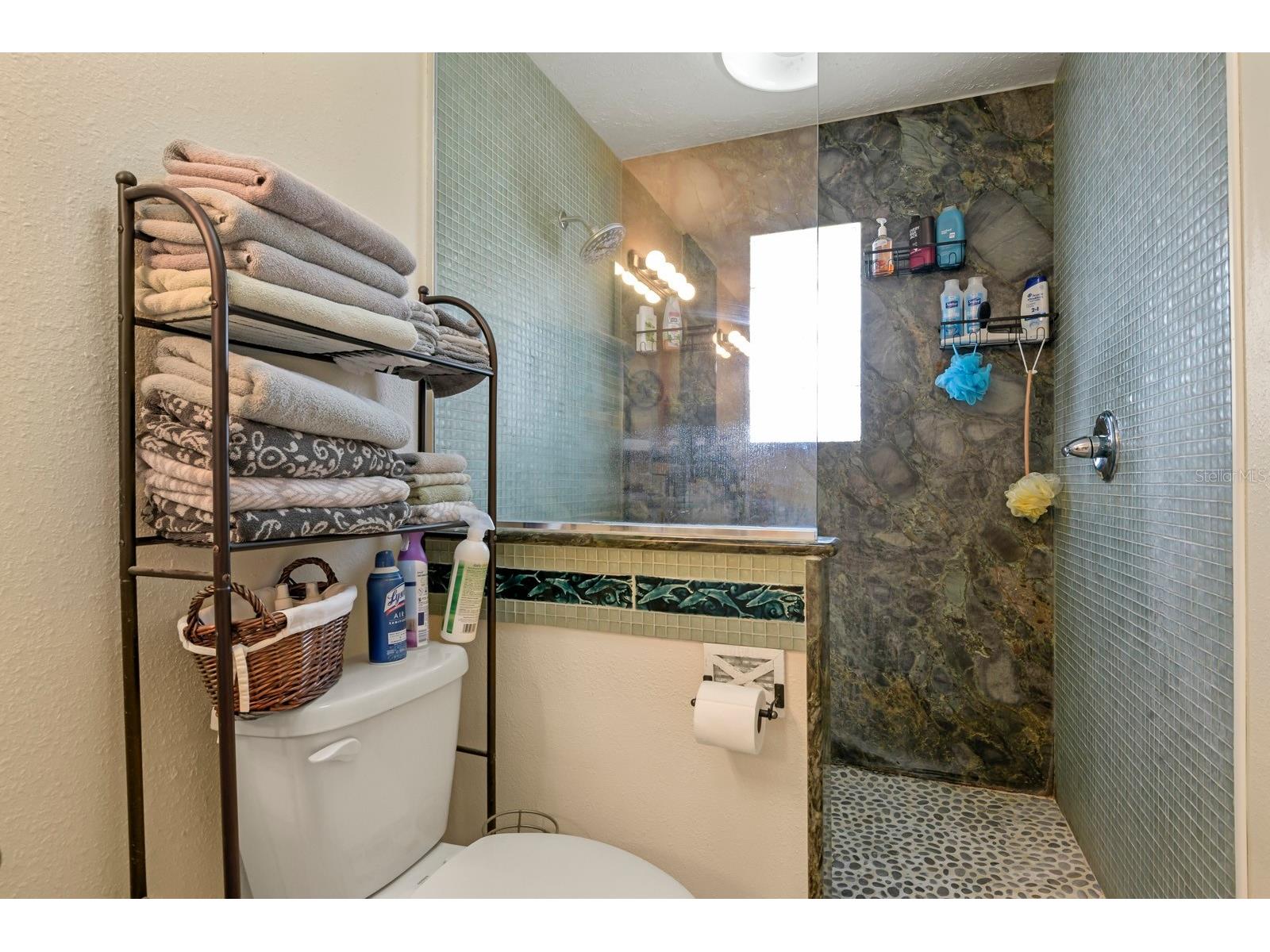 744 Flamingo Drive Apollo Beach FL 33572 TB8530825 image21