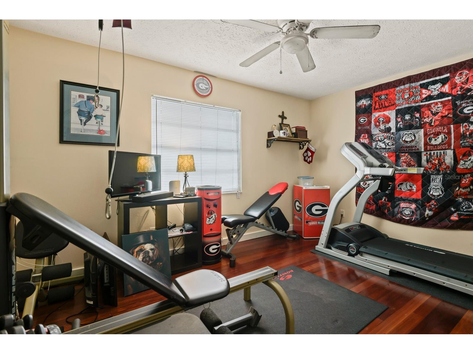 744 Flamingo Drive Apollo Beach FL 33572 TB8530825 image28