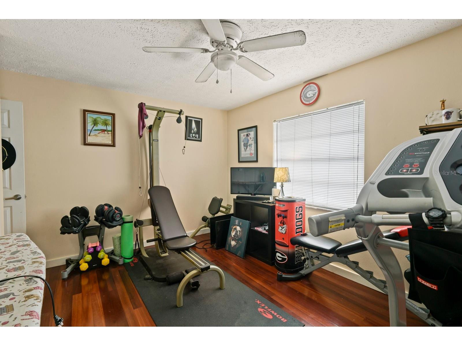 744 Flamingo Drive Apollo Beach FL 33572 TB8530825 image29