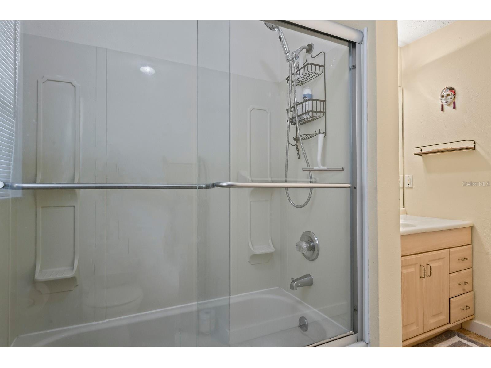 744 Flamingo Drive Apollo Beach FL 33572 TB8530825 image31