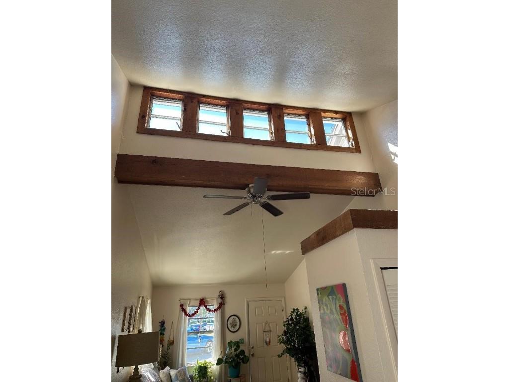 744 Mease Plaza Dunedin FL 34698 TB8447182 image21