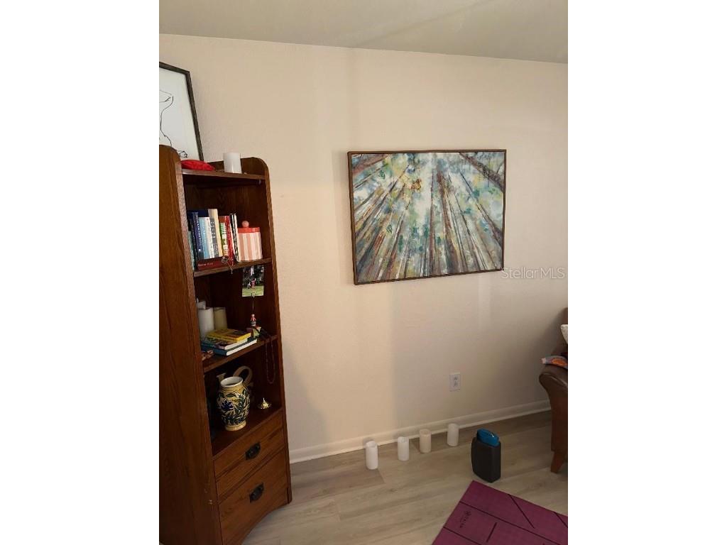 744 Mease Plaza Dunedin FL 34698 TB8447182 image29