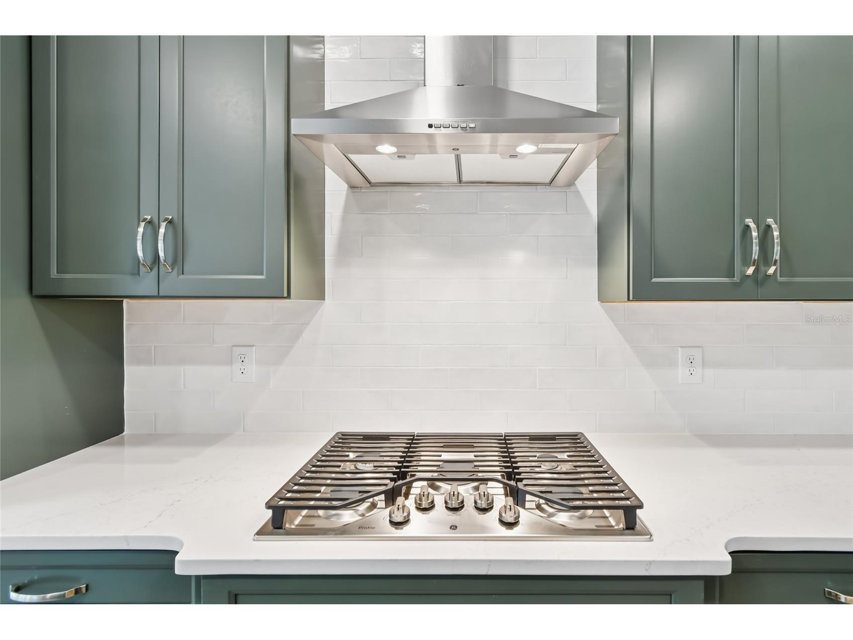 744 Pointe Emerson Boulevard Apopka FL 32703 O6371517 image4