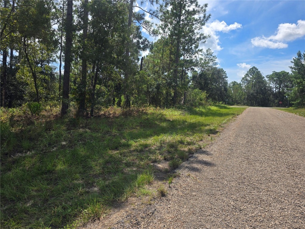 7441 N June Terrace Dunnellon FL 34434 OM708904 image1