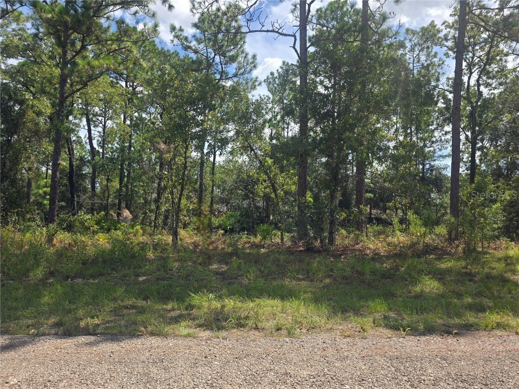 7441 N June Terrace Dunnellon FL 34434 OM708904 image2