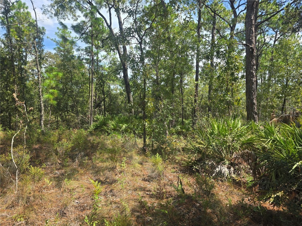 7441 N June Terrace Dunnellon FL 34434 OM708904 image3