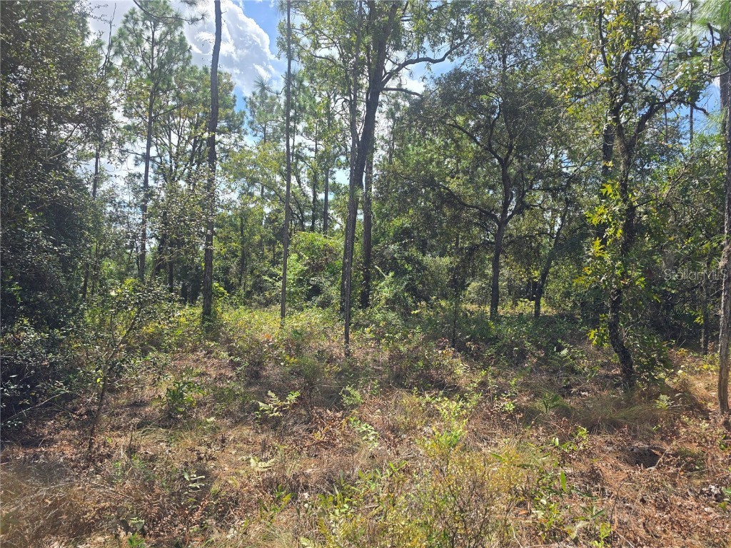 7441 N June Terrace Dunnellon FL 34434 OM708904 image4