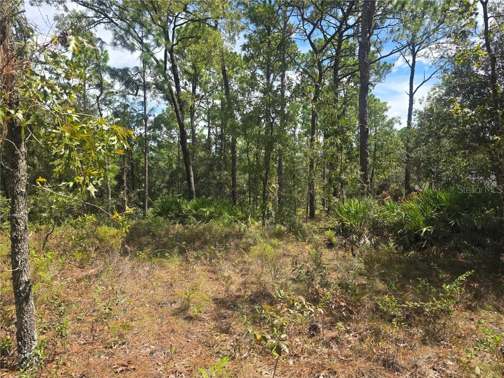 7441 N June Terrace Dunnellon FL 34434 OM708904 image5