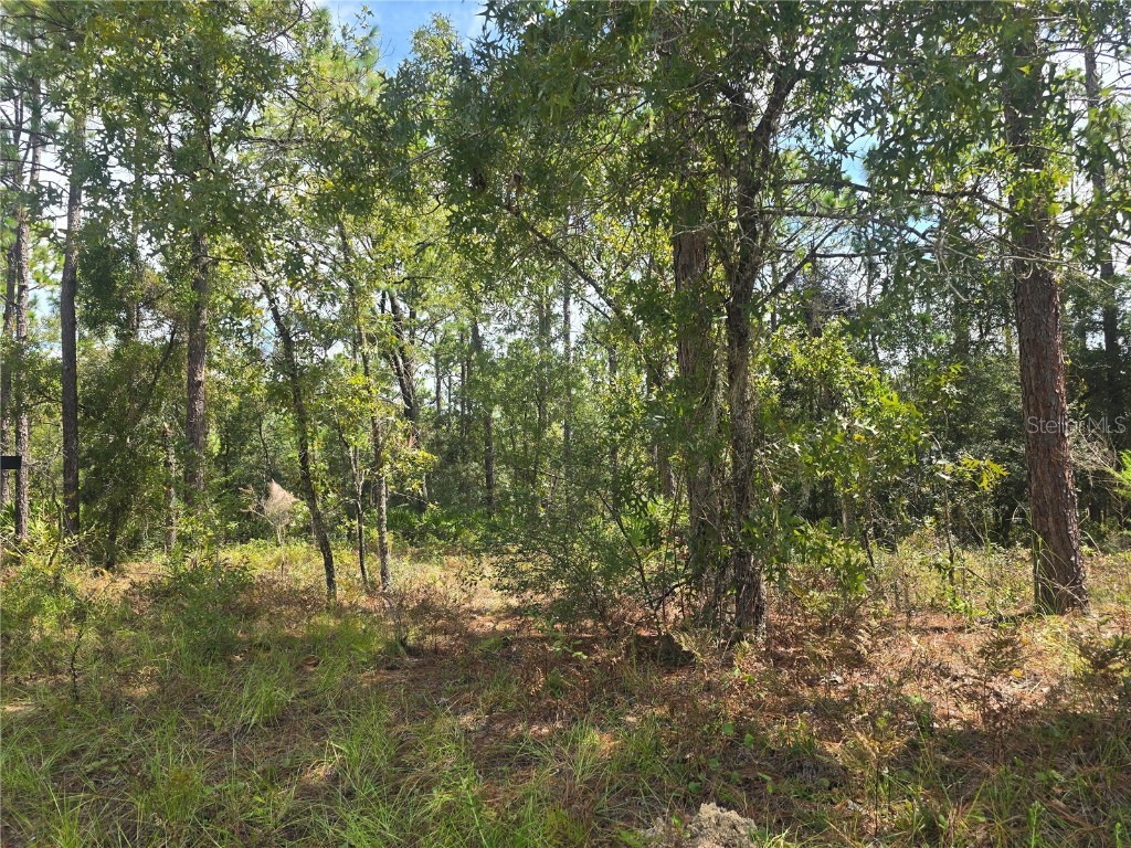 7441 N June Terrace Dunnellon FL 34434 OM708904 image6