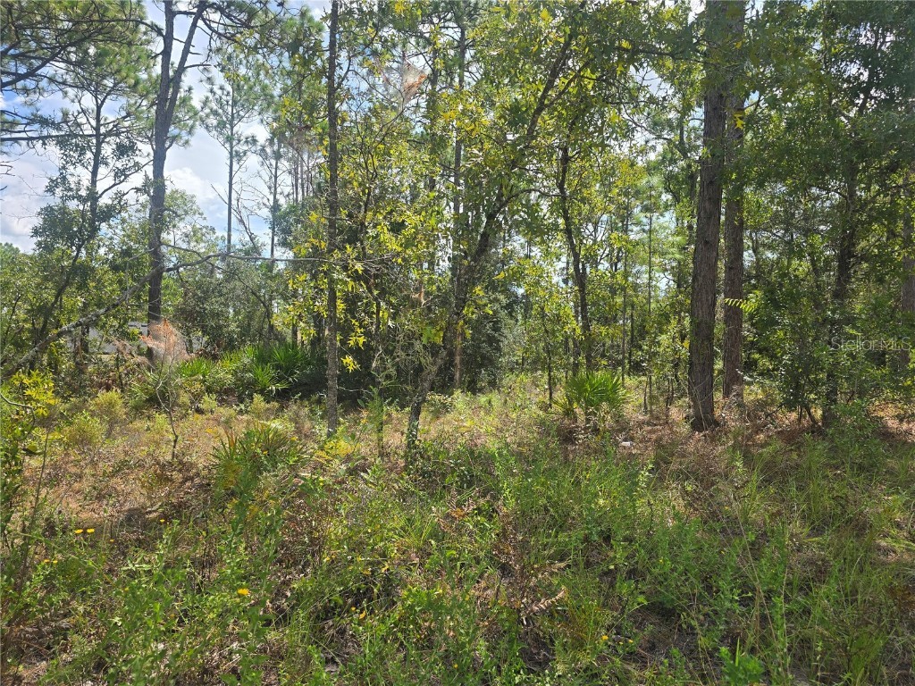7441 N June Terrace Dunnellon FL 34434 OM708904 image7