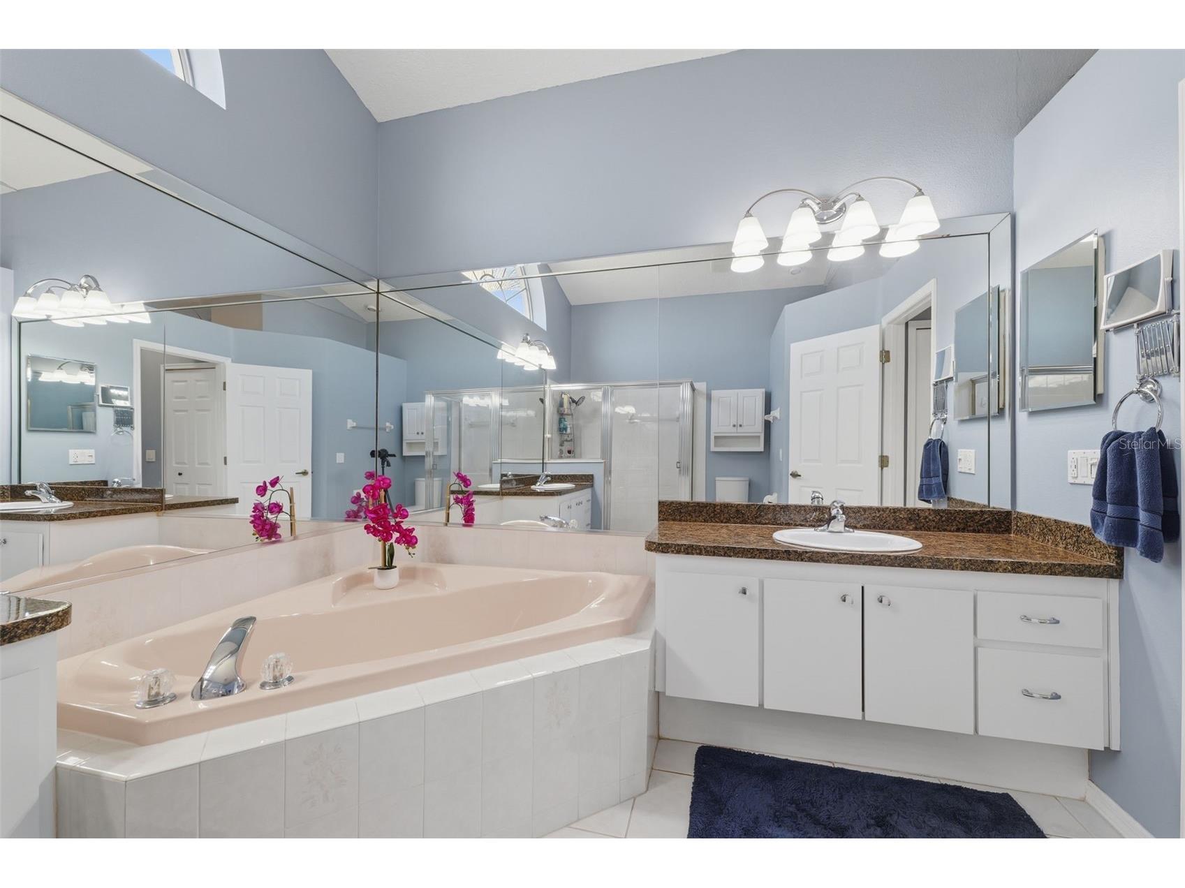 7442 Aloe Drive Spring Hill FL 34607 W7884255 image27