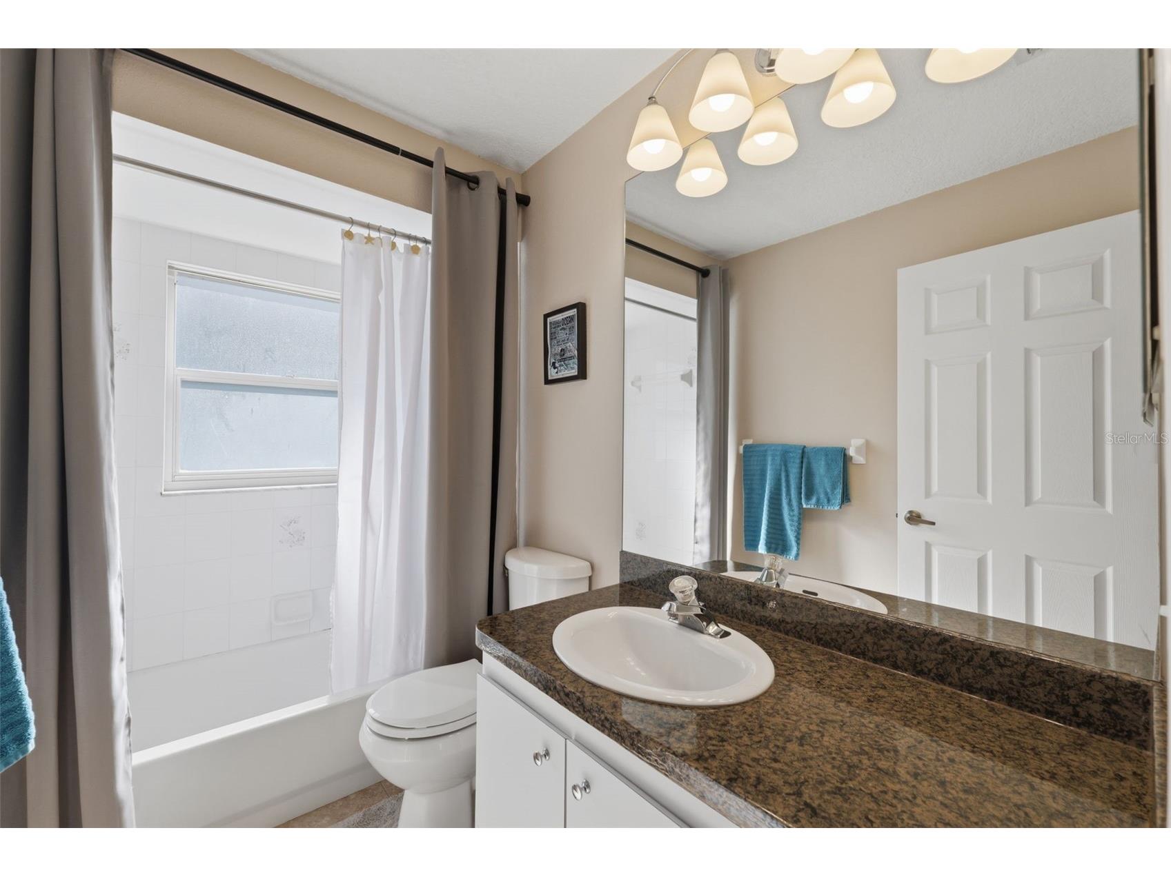 7442 Aloe Drive Spring Hill FL 34607 W7884255 image36