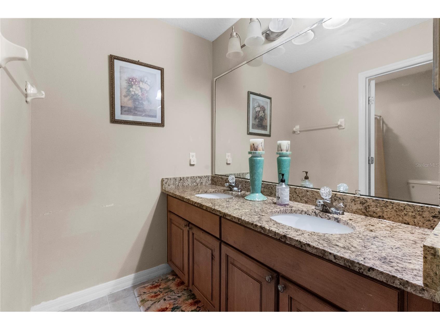 7442 Rex Hill Trail Orlando FL 32818 O6415253 image17