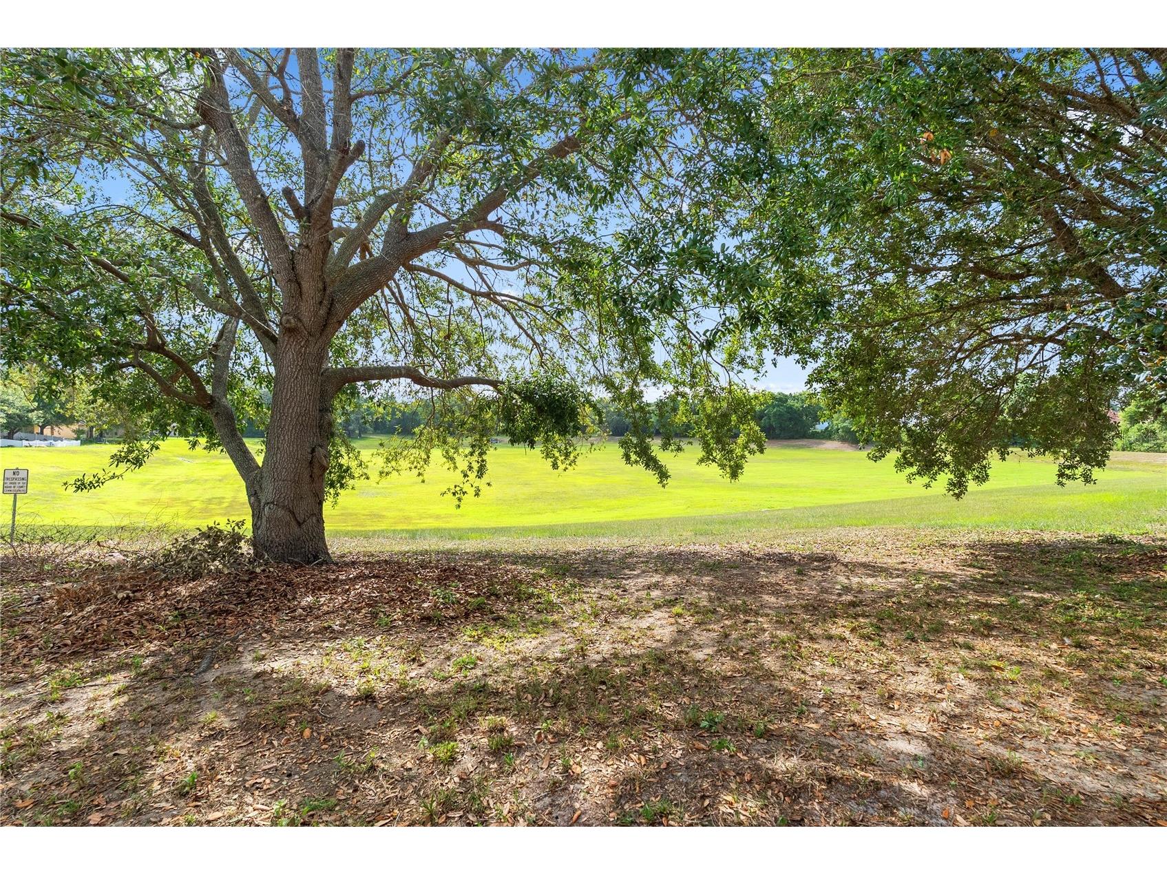 7442 Rex Hill Trail Orlando FL 32818 O6415253 image22