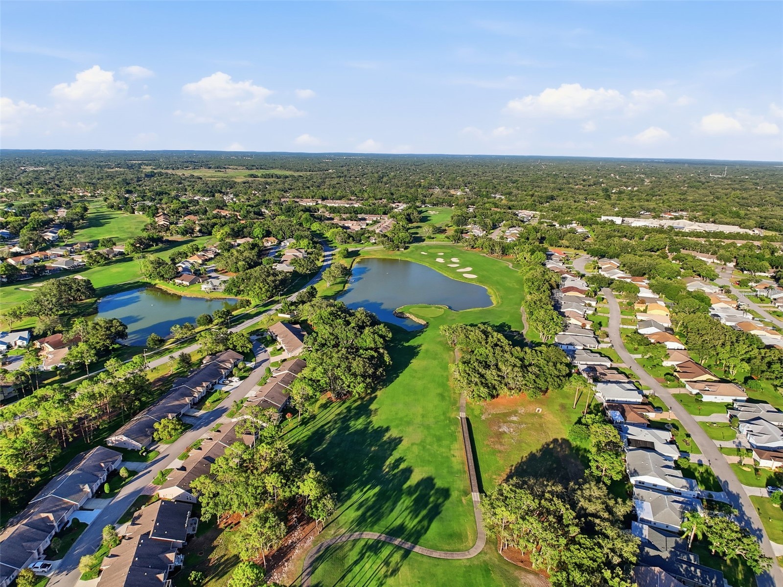 7442 Woodhollow Road Spring Hill FL 34606 W7886844 image54