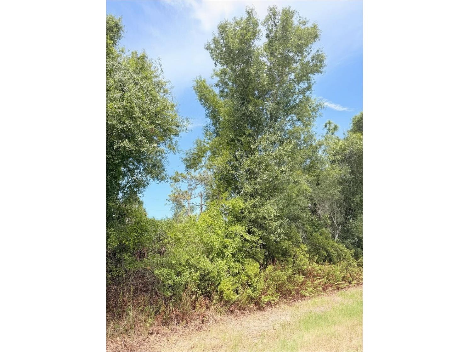 7443 Ebro Road Englewood FL 34224 A4697709 image1