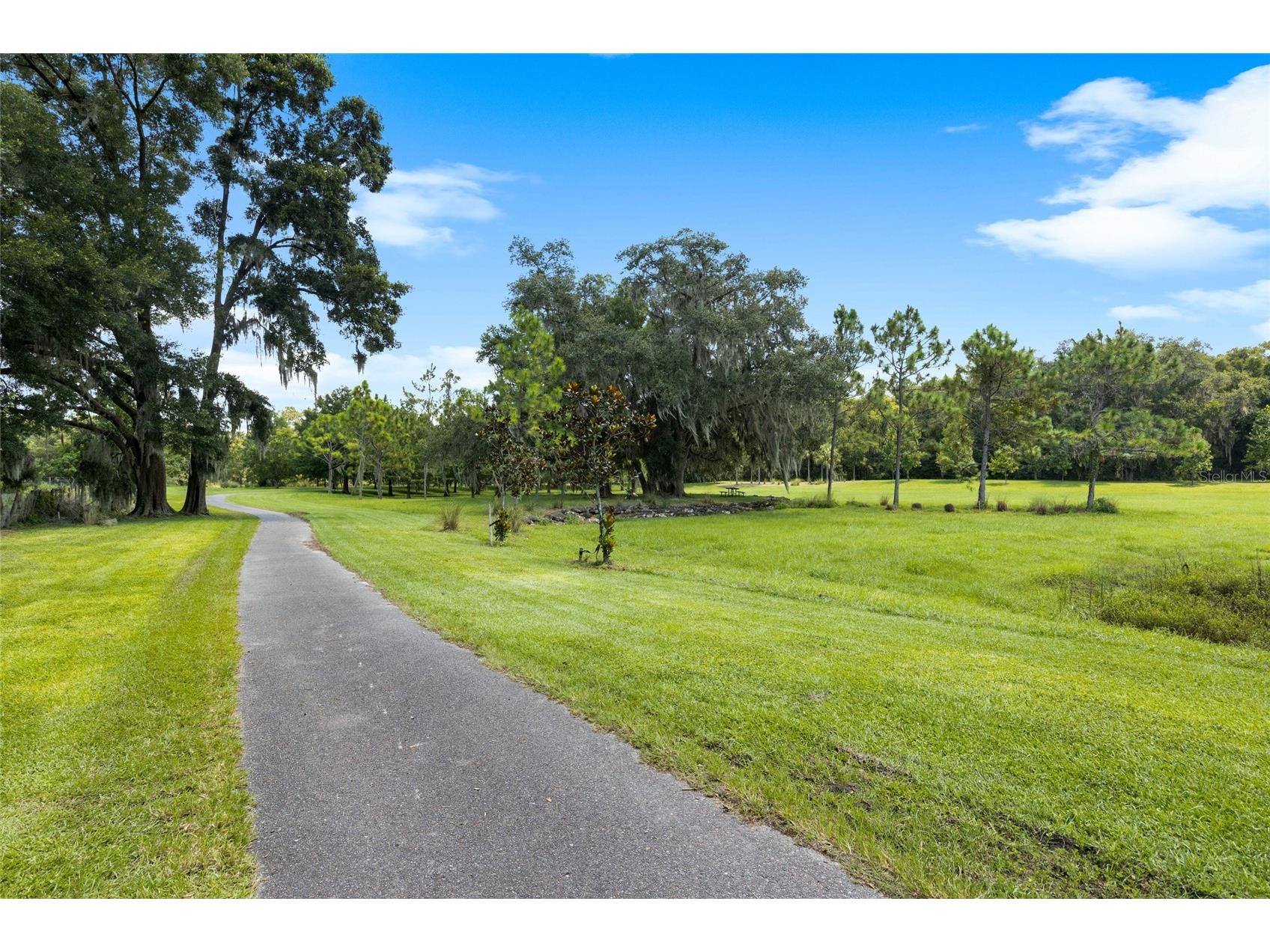 7443 SW 65th Place Gainesville FL 32608 O6393237 image73